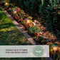 Tawny Connectable Border Light Add on Set - Green