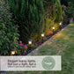 Tawny Connectable Border Light Add on Set - Slate