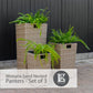 Monaco Sand Nested Planters - Set Of 3